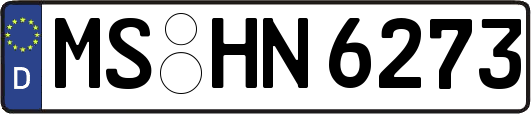 MS-HN6273
