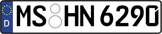 MS-HN6290