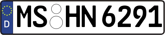 MS-HN6291