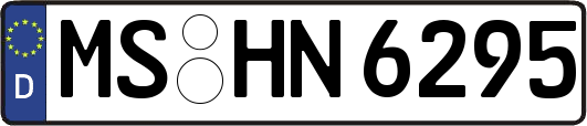MS-HN6295