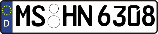 MS-HN6308