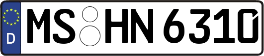 MS-HN6310