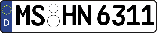 MS-HN6311