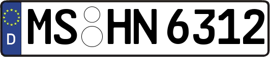 MS-HN6312