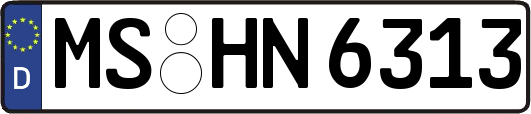 MS-HN6313