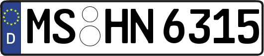 MS-HN6315