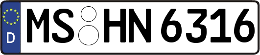 MS-HN6316
