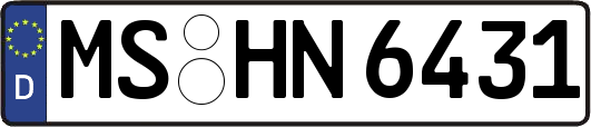 MS-HN6431