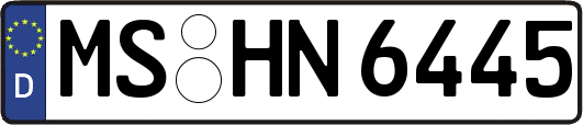 MS-HN6445