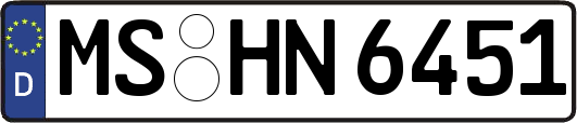 MS-HN6451