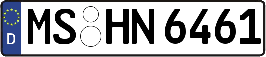 MS-HN6461