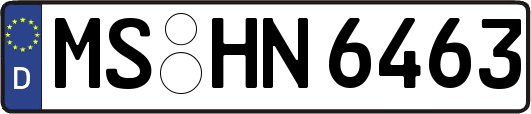 MS-HN6463
