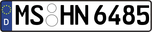 MS-HN6485