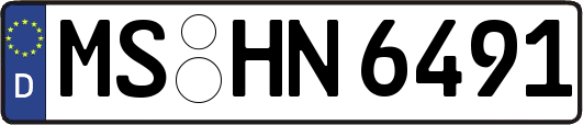 MS-HN6491