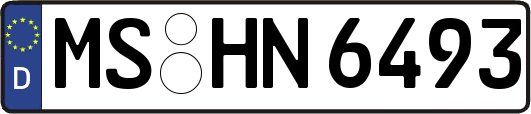 MS-HN6493