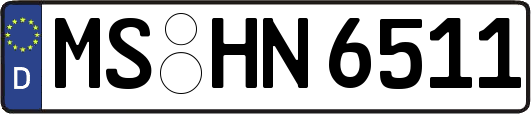 MS-HN6511