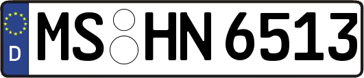 MS-HN6513