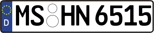 MS-HN6515