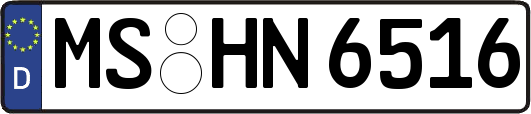 MS-HN6516