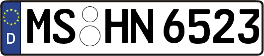 MS-HN6523