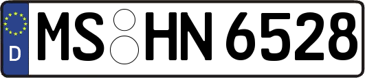 MS-HN6528