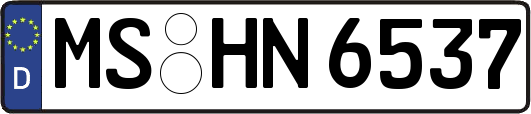 MS-HN6537