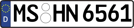 MS-HN6561