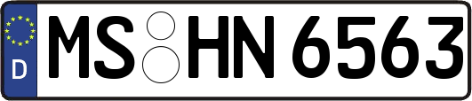 MS-HN6563