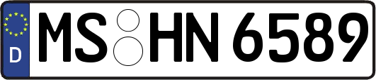 MS-HN6589