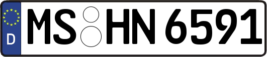 MS-HN6591