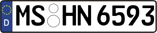 MS-HN6593
