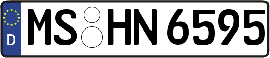 MS-HN6595
