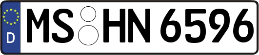 MS-HN6596