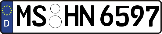 MS-HN6597