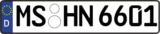 MS-HN6601