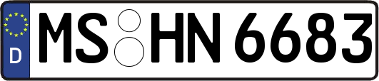 MS-HN6683