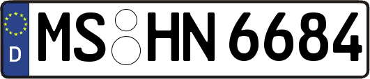 MS-HN6684