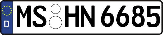 MS-HN6685