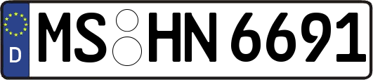MS-HN6691