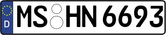 MS-HN6693