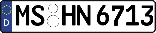 MS-HN6713