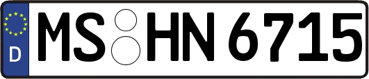 MS-HN6715