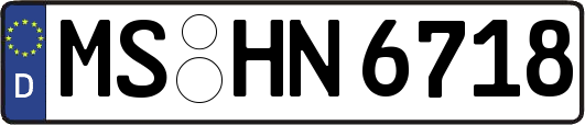 MS-HN6718