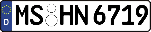 MS-HN6719