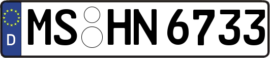 MS-HN6733