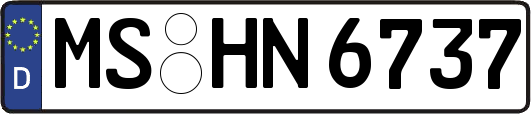 MS-HN6737