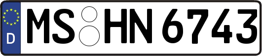 MS-HN6743