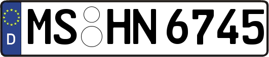 MS-HN6745