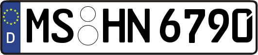 MS-HN6790