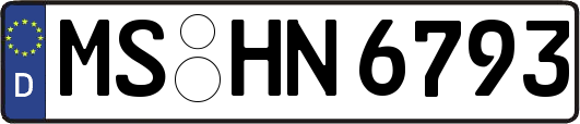 MS-HN6793